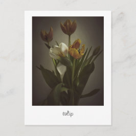 Postal "Tulipán" por Heidi Rondak Photography
