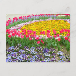 Postal Tulipán [postal]