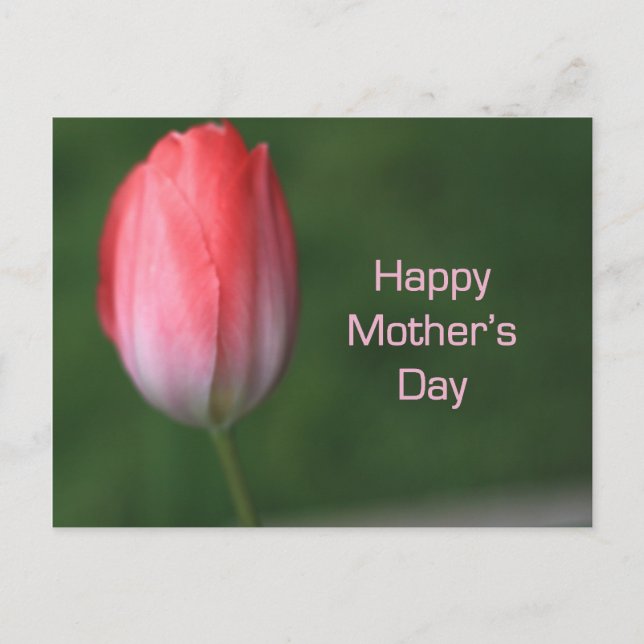 Postal tulipán rojo, feliz día de la madre (Anverso)
