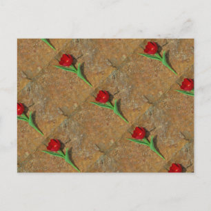 Postal Tulipán rojo y amarillo