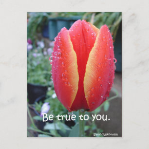Postal Tulipán Rojo y Gotitas Florales Sé Fiel a Ti