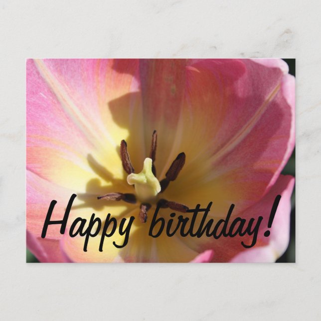 Postal Tulipán rosa y amarillo (Anverso)