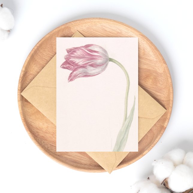 Postal Tulipán rosa y blanco - Bella Artes de cosecha (Subido por el creador)