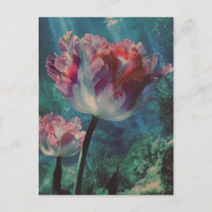 Postal Tulipán Subacuático