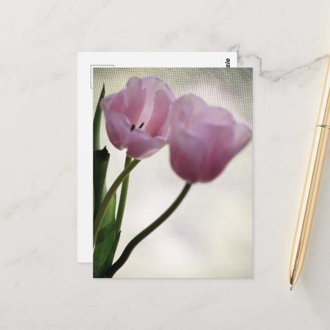 Postal Tulipanes 3265 (Anverso/Reverso In Situ)