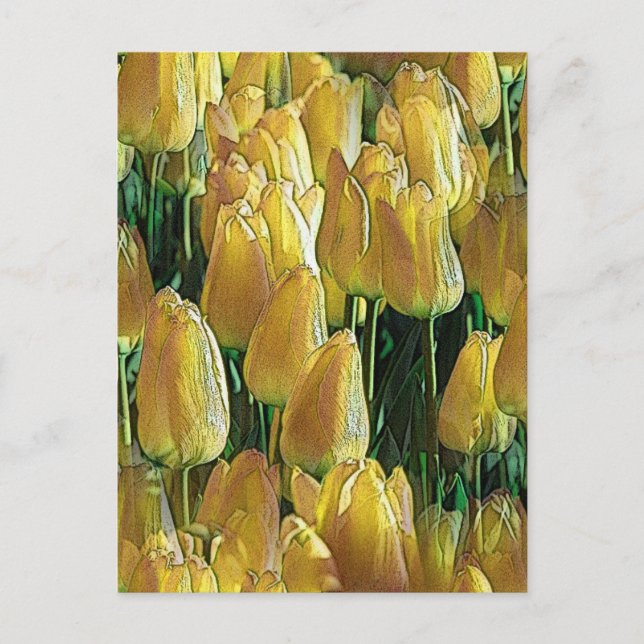 Postal Tulipanes amarillos brillantes (Anverso)