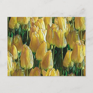 Postal Tulipanes amarillos brillantes