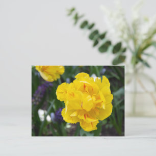 Postal Tulipanes amarillos en el jardín