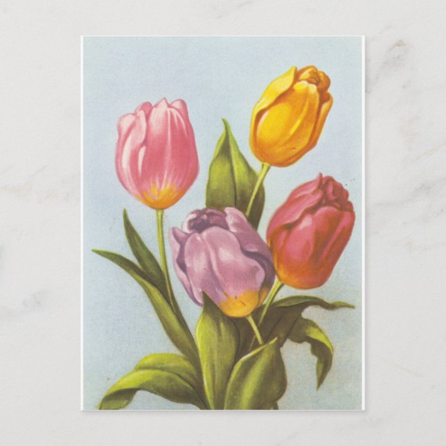Postal Tulipanes amarillos, rosados y morados (Anverso)