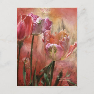 Postal Tulipanes Colores De Amor Postcard