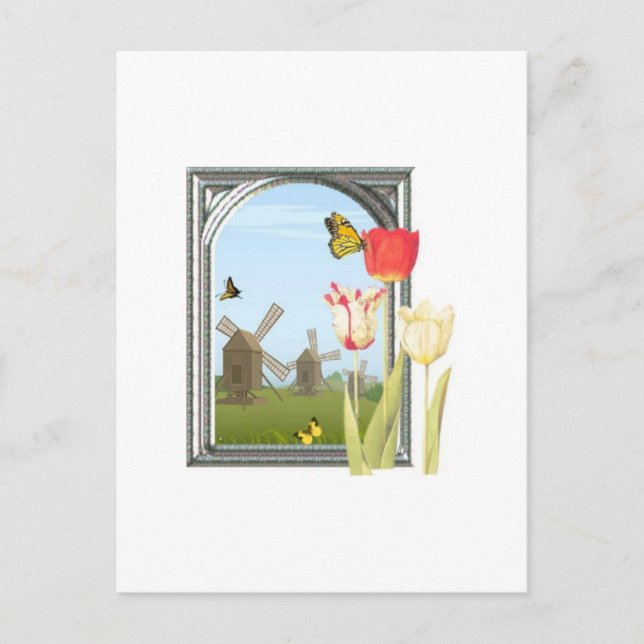 Postal Tulipanes de Ámsterdam (Anverso)
