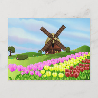 Postal Tulipanes de Holanda