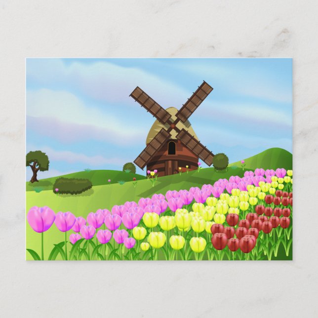 Postal Tulipanes de Holanda (Anverso)
