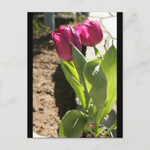 Postal Tulipanes de la madre