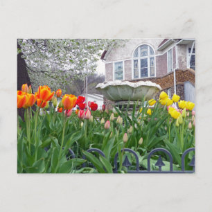 Postal Tulipanes de primavera