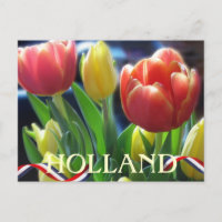 Tulipanes de primavera roja y amarilla Holcard pos