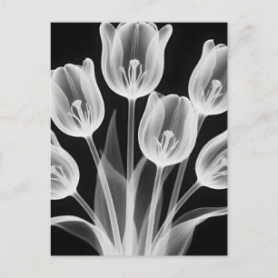 Postal Tulipanes en blanco y negro elegantes monocromátic