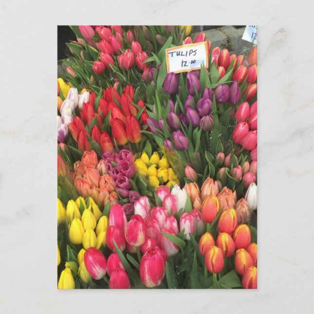 Postal Tulipanes en venta NYC Flores Esquina Bodega Foto (Anverso)