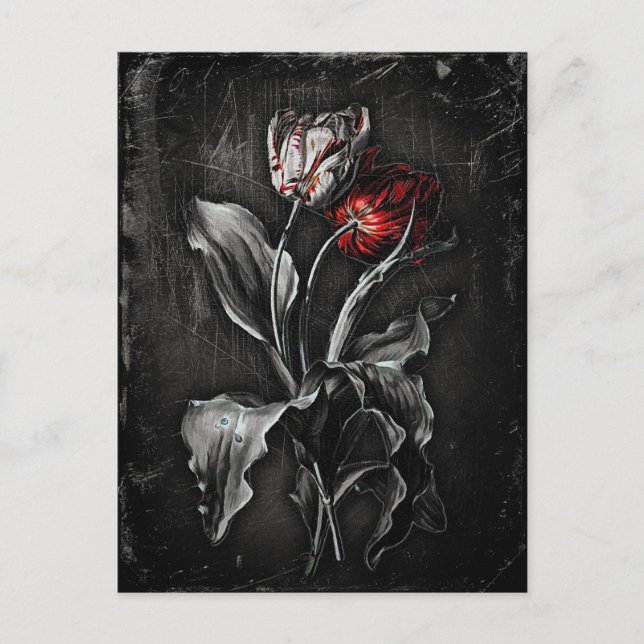 Postal Tulipanes góticos (Anverso)