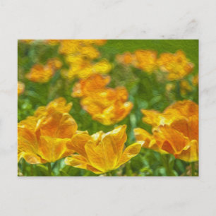 Postal Tulipanes pintados