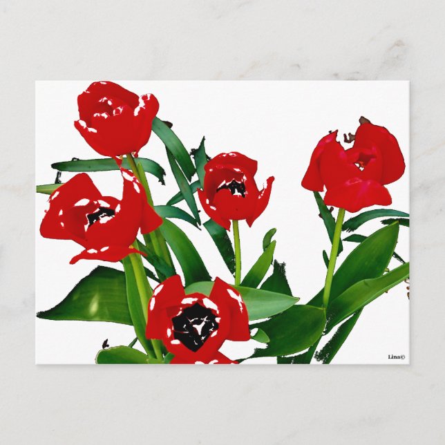 Postal Tulipanes Rojos Brillantes (Anverso)