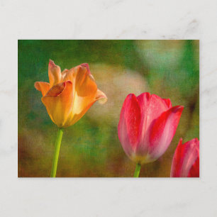Postal Tulipanes rojos y amarillos sobre fondo texturizad