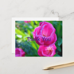 Postal Tulipanes rosados