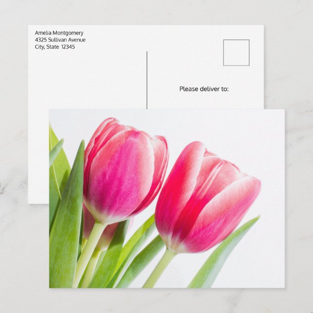 Postal Tulipanes rosados con foto de hojas verdes (Anverso / Reverso)