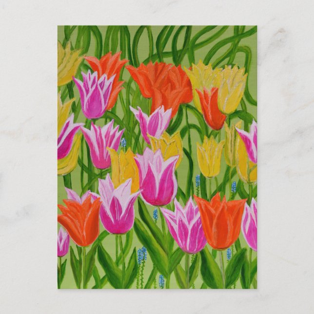 Postal Tulipanos (Anverso)