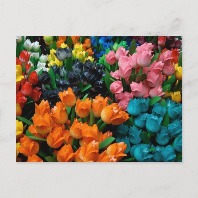 Postal Tulipanos de Amsterdam (Anverso)
