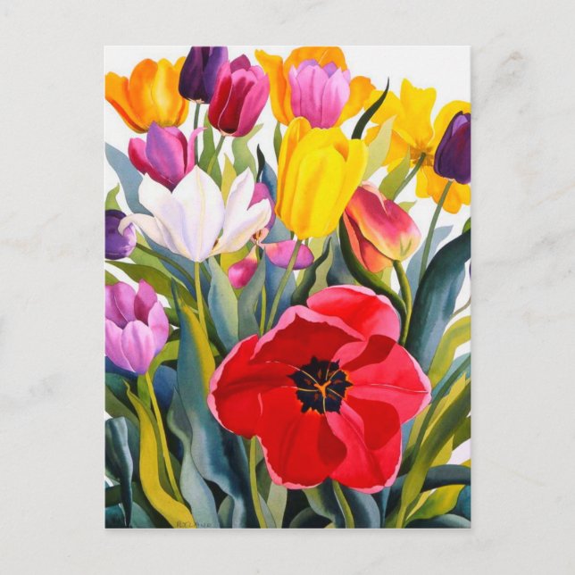 Postal Tulips 2007 (Anverso)