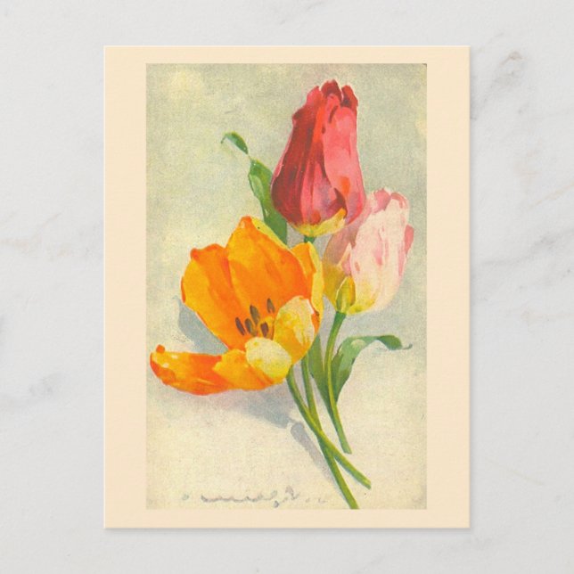 Postal Tulips de Catherine Klein (Anverso)