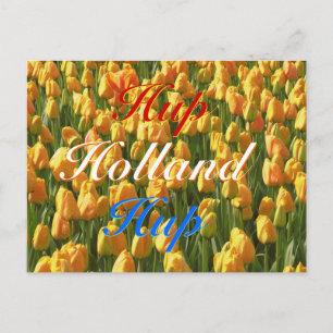 Postal Tulips del Naranja azul rojo Hup Holland