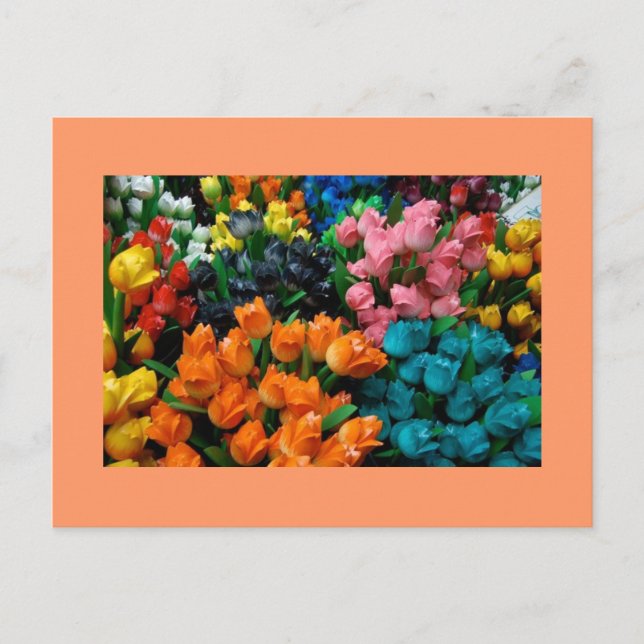 Postal Tulips Galore (Anverso)