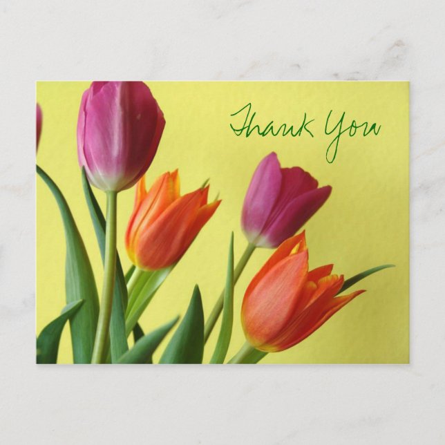 Postal Tulips Gracias Postcard (Anverso)