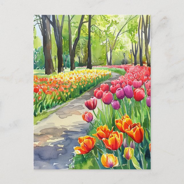 Postal Tulips in The Park (Anverso)