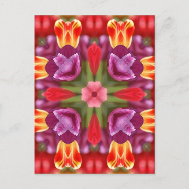 Postal Tulips Kaleidoscope (Anverso)