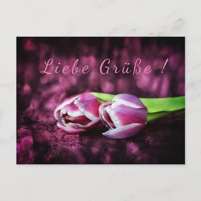 Postal Tulpen Gruß (Anverso)