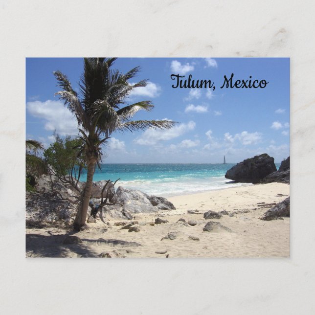 Postal Tulum, México - Playa - Palmeras (Anverso)