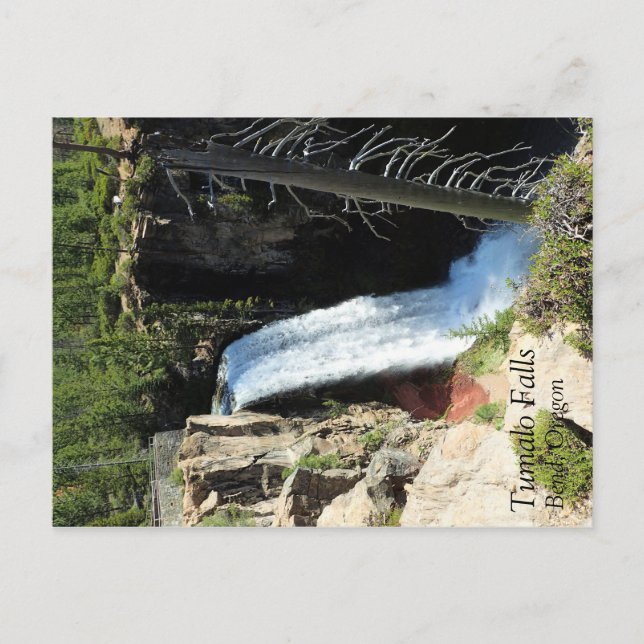 Postal Tumalo Falls, OR (Anverso)