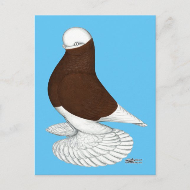 Postal Tumbler:  Calvo rojo espantado (Anverso)