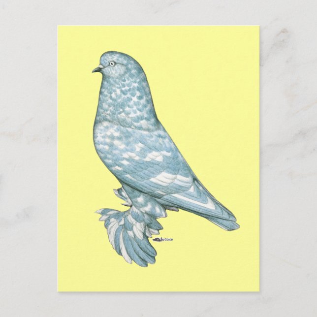 Postal Tumbler del Oeste de Inglaterra:  Lavender Mottle (Anverso)