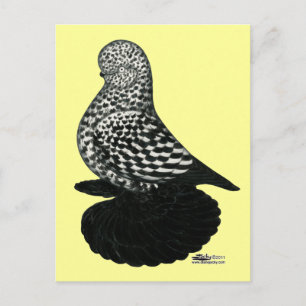 Postal Tumbler esplash muffed 2