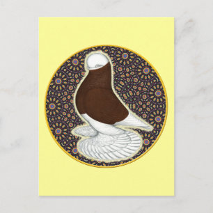 Postal Tumbler Pigeon Circle
