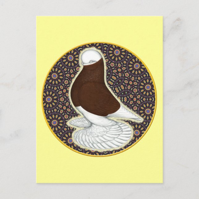 Postal Tumbler Pigeon Circle (Anverso)