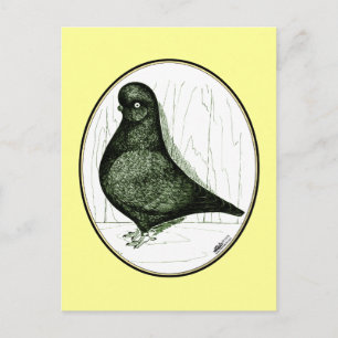 Postal Tumbler Pigeon LFCL de 1978