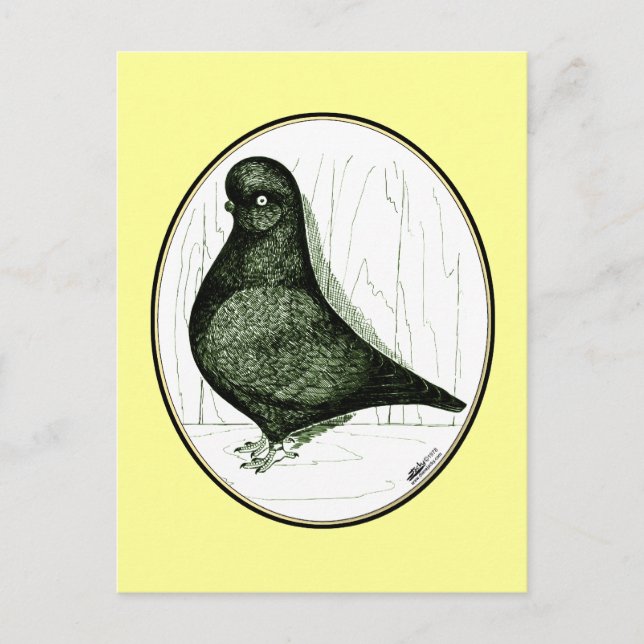 Postal Tumbler Pigeon LFCL de 1978 (Anverso)