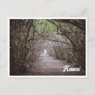 Postal Túnel de árboles Kauai Kaapa Foto