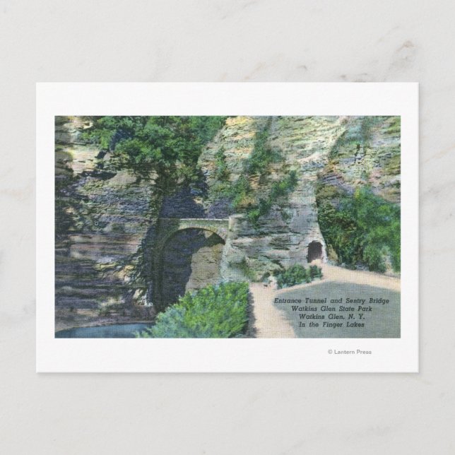 Postal Túnel de entrada al Parque Estatal y puente de cen (Anverso)