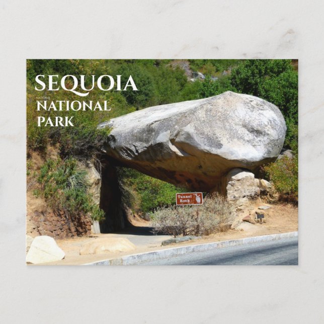 Postal Túnel Rock, Postcard del Parque Nacional Sequoia (Anverso)